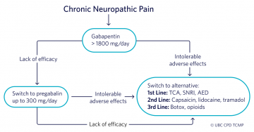Algorithm for assessment and approach to utilizing gabapentin and pregabalin in chronic neuropathic pain